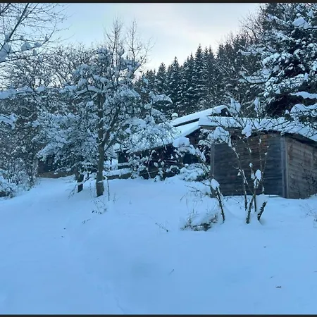 Holiday home Na Samote U Lesa Vsetin