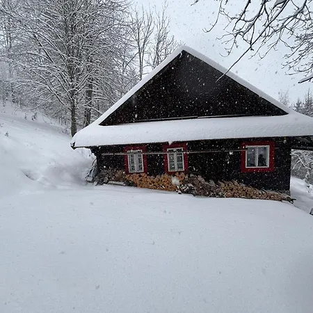 Na Samote U Lesa Holiday home Vsetin